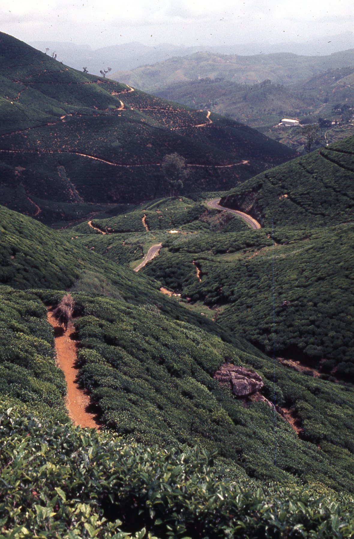1972 Sri Lanka